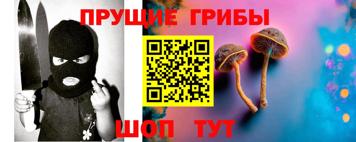 Псилоцибиновые грибы ЛСД  Псилоцибиновые грибы Psilocybine cubensis  Саки  закладка  Вход с VPN 